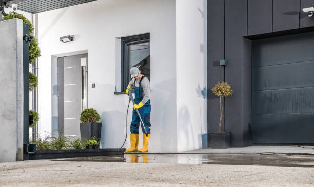 Animal Enclosure Cleaning in Rollingwood, TX